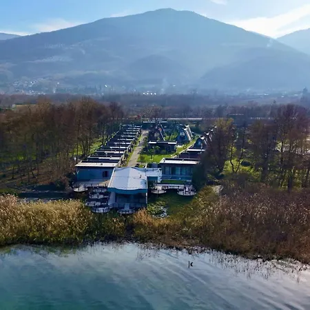 Hilloria Tatil Koeyue *